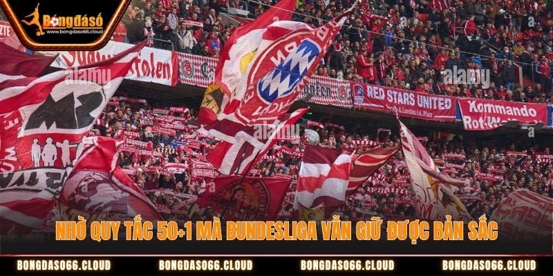 Nhờ quy tắc 50+1 mà Bundesliga vẫn giữ được bản sắc quy tắc 50+1 Bundesliga