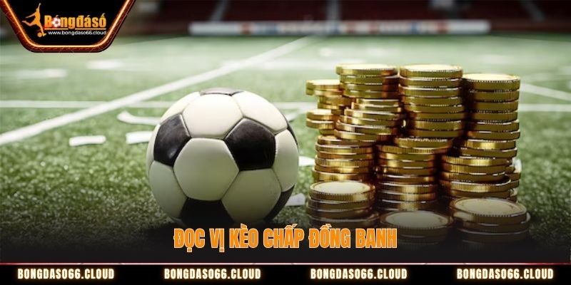Bí kíp đọc vị kèo các loại chuẩn xác chỉ trong vòng 5 phút 2 Đọc vị kèo chấp đồng banh đơn giản cùng Bongdaso