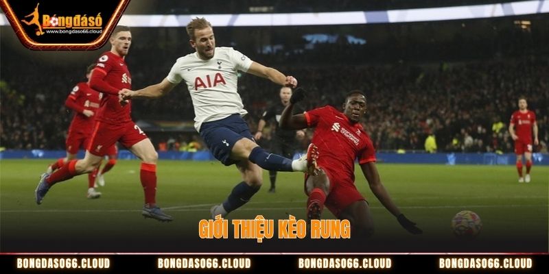 Đánh Kèo Rung (Running Ball): Kinh Nghiệm Bất Bại Từ Cao Thủ 1 Kèo rung