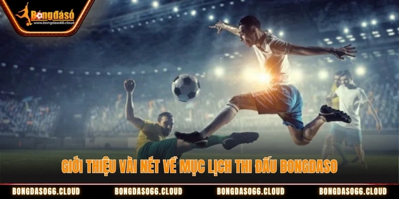 Lịch thi đấu 1 mục lịch thi đấu Bongdaso