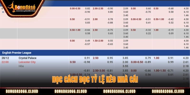 Đánh Kèo Rung (Running Ball): Kinh Nghiệm Bất Bại Từ Cao Thủ 3 Tìm hiểu đọc tỷ lệ kèo nhà cái để đánh kèo hiệu quả