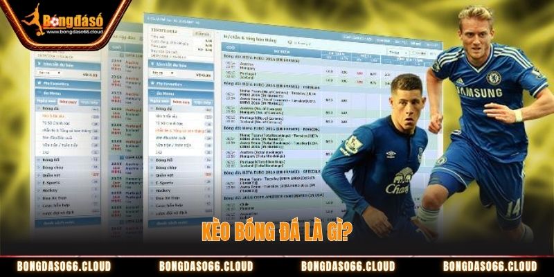 Bí kíp đọc vị kèo các loại chuẩn xác chỉ trong vòng 5 phút 1 Kèo bóng đá đa dạng các tỷ lệ cược khác nhau