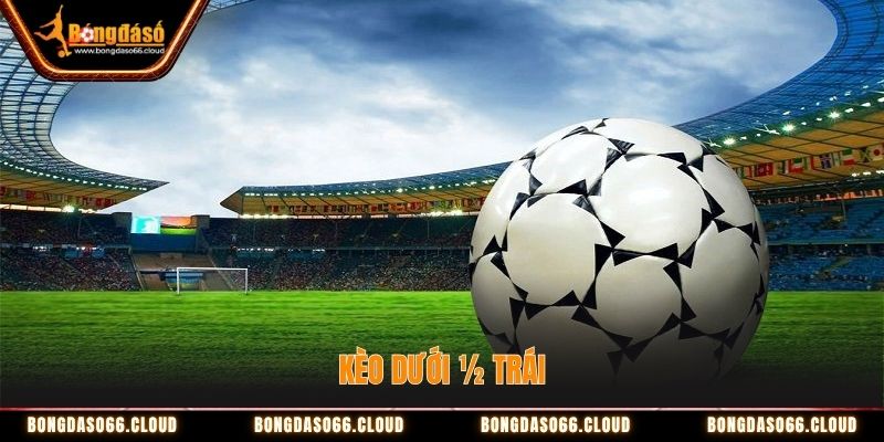 Bắt Kèo Dưới Luôn Thắng – Chiến Thuật Đỉnh Cao Từ Cao Thủ 2 Kèo dưới ½ trái
