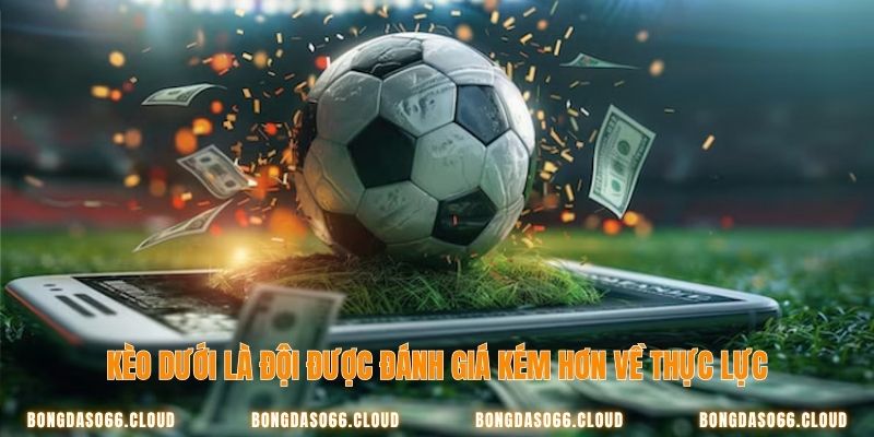 Bắt Kèo Dưới Luôn Thắng – Chiến Thuật Đỉnh Cao Từ Cao Thủ 1 Kèo dưới là gì
