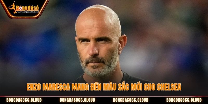 Enzo Maresca mang đến màu sắc mới cho Chelsea Enzo Maresca mang đến màu sắc mới cho Chelsea