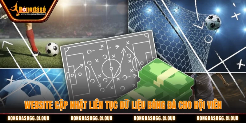 Website cập nhật liên tục dữ liệu bóng đá cho hội viên