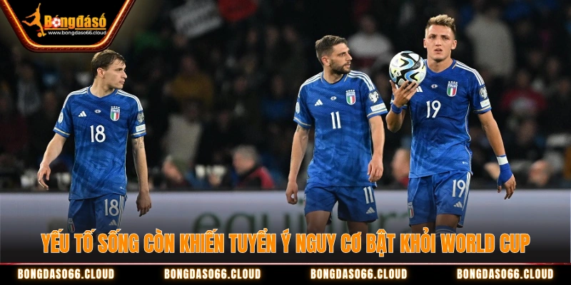 Thảm họa lặp lại? Tuyển Ý nguy cơ bật khỏi World Cup 2026 3 Yếu tố sống còn khiến tuyển Ý nguy cơ bật khỏi World Cup